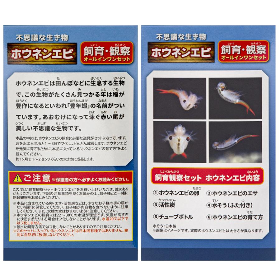 ニチドウ 日本動物薬品 飼育観察セット ホウネンエビ : チャーム charm