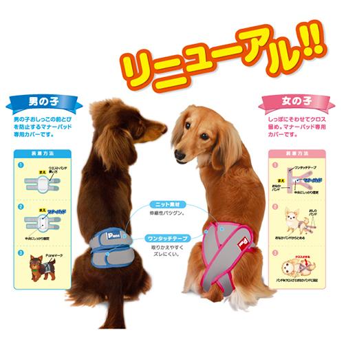 第一衛材 男の子用 マナーホルダー Active 3L : チャーム