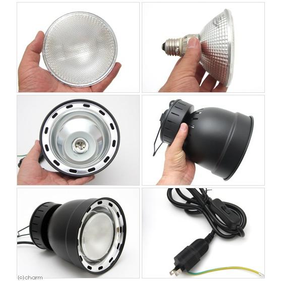 ZOOMED POWERSUNH.I.D 70W UVソケット&ランプセット