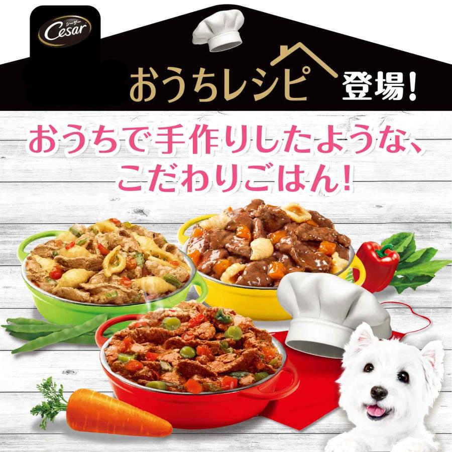 シーザー　おうちレシピ　やわらかチキン　チーズ＆野菜入り　１００ｇ　ドッグフード | シーザー | 02