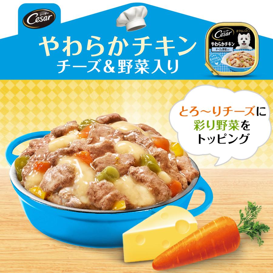 シーザー　おうちレシピ　やわらかチキン　チーズ＆野菜入り　１００ｇ　ドッグフード | シーザー | 03