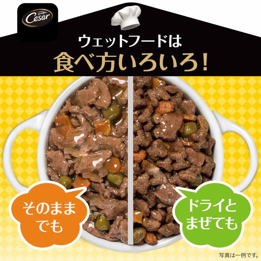 シーザー　おうちレシピ　やわらかチキン　チーズ＆野菜入り　１００ｇ　ドッグフード | シーザー | 04