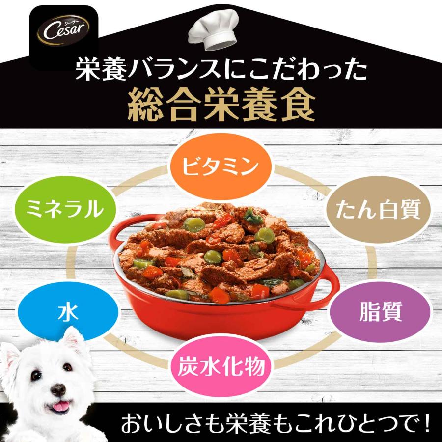シーザー　おうちレシピ　やわらかチキン　チーズ＆野菜入り　１００ｇ　ドッグフード | シーザー | 05