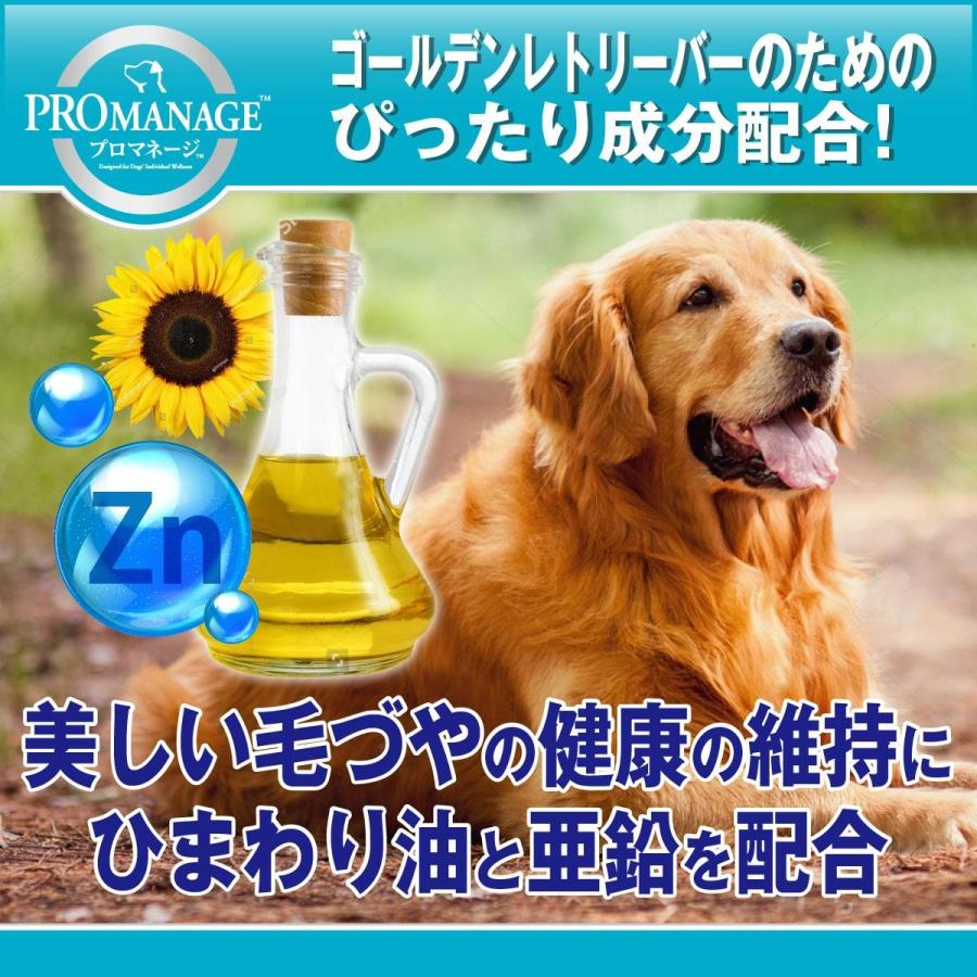 ドッグフード　プロマネージ　成犬用　ゴールデンレトリーバー専用　４ｋｇ | プロマネージ | 01