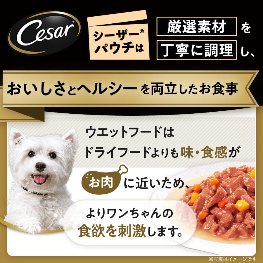 シーザー　ごろっと蒸しささみ　彩り野菜入り　７０ｇ×４袋　パウチ　ドッグフード | シーザー | 01