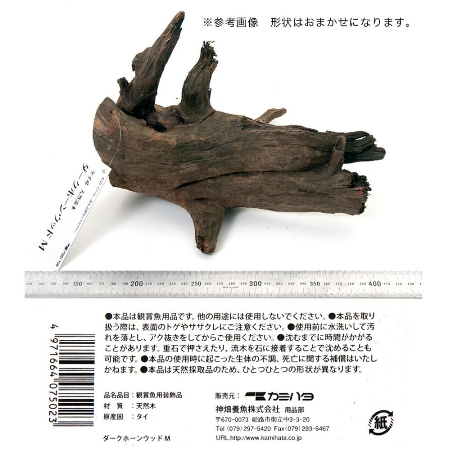 カミハタ タイ産天然流木 ダークホーンウッド ｍ 形状おまかせ 未アク抜き 約２３ １４ ２２ｃｍ チャーム Charm Paypayモール店 通販 Paypayモール