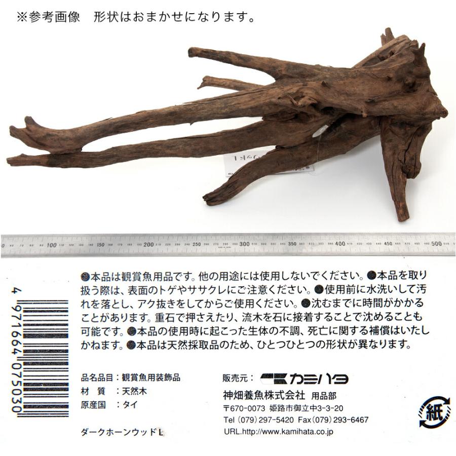 カミハタ タイ産天然流木 ダークホーンウッド L 形状お任せ 未アク