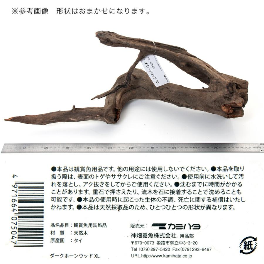 カミハタ タイ産天然流木 ダークホーンウッド ｘｌ 形状おまかせ 未アク抜き 約３７ ２５ ３５ｃｍ チャーム Charm Paypayモール店 通販 Paypayモール