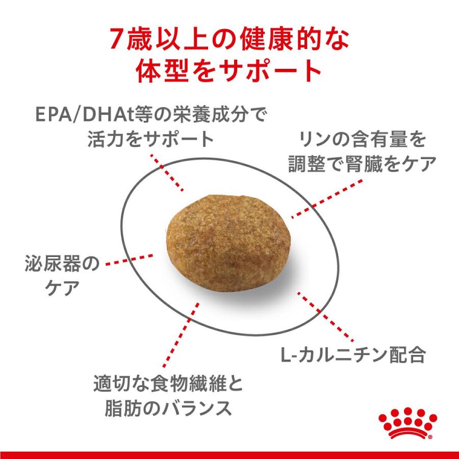 ロイヤルカナン（ROYAL CANIN） 猫 避妊・去勢 7歳以上用 ドライ