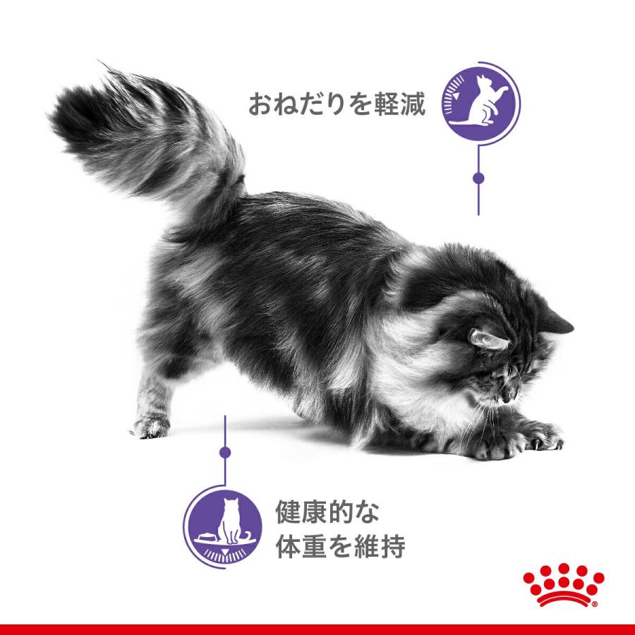 ロイヤルカナン ロイヤルカナン 猫 おねだりの多い成猫用 ドライ ロイヤルカナン ロイヤルカナン 猫 おねだりの多い成猫用 ドライ