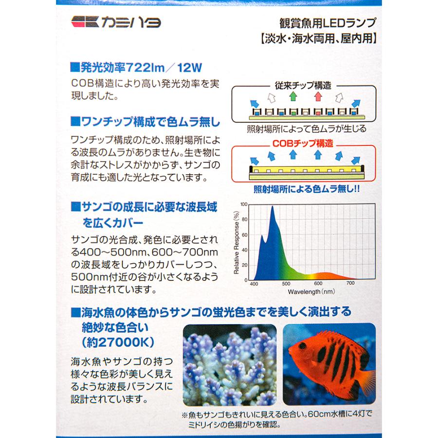 カミハタ Rio COB LED シャローブルー 12W E26口径
