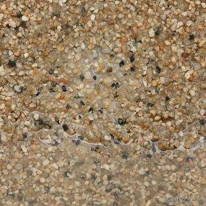 21春夏新色 コリドラサンド ２ ５ｋｇ 底砂 底床 コリドラス ドジョウ お一人様８点限り740円 Aynaelda Com