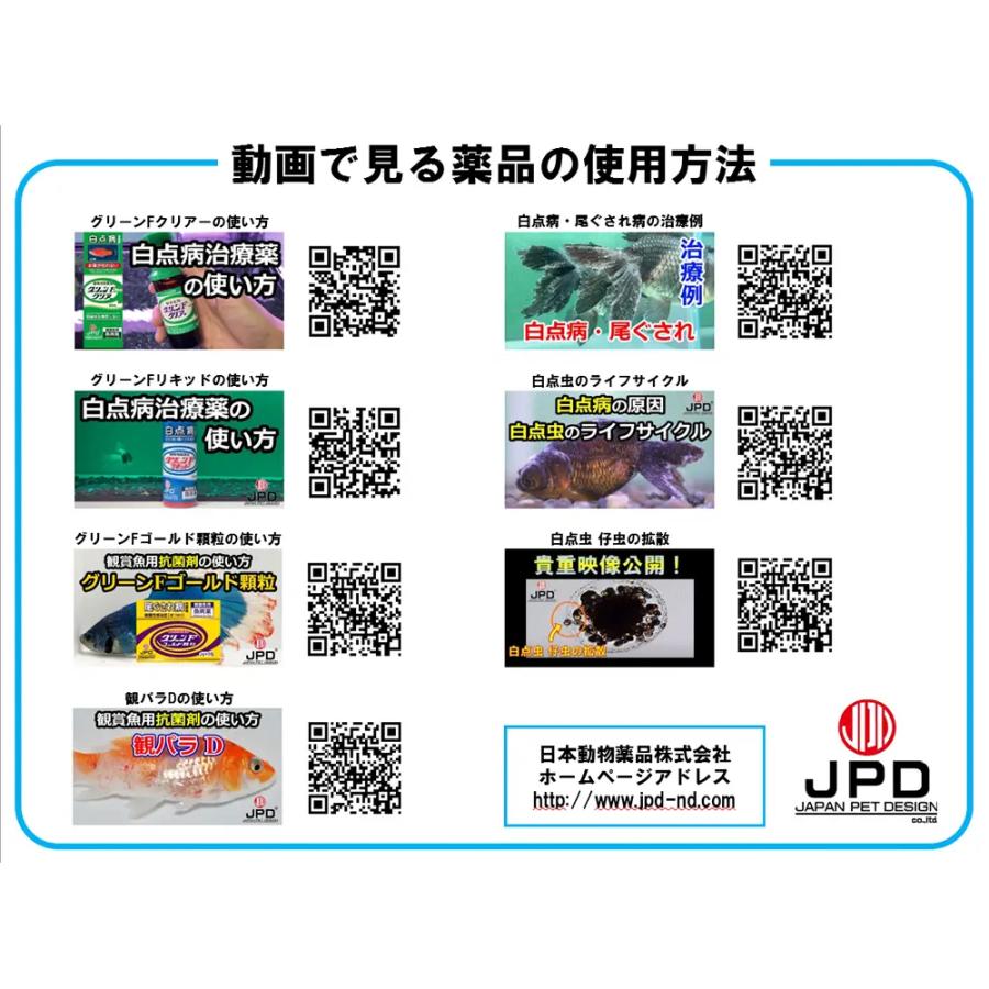 動物用医薬品　観賞魚用魚病薬　ニチドウ　グリーンＦゴールド　顆粒　５ｇ×５包　薬効５〜７日間　水草不可　尾ぐされ症状　細菌性皮フ炎｜chanet｜03