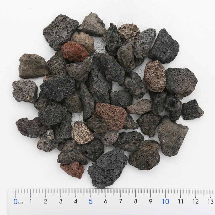 新品 正規品 溶岩砂利 ｌサイズ ５リットル 底砂 ろ材 鉢底石 お一人様５点限り1 040円 Aynaelda Com