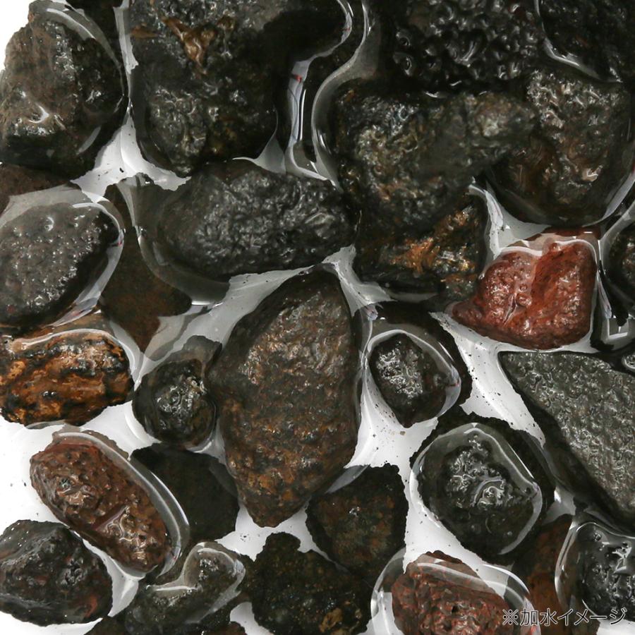 新品 正規品 溶岩砂利 ｌサイズ ５リットル 底砂 ろ材 鉢底石 お一人様５点限り1 040円 Aynaelda Com