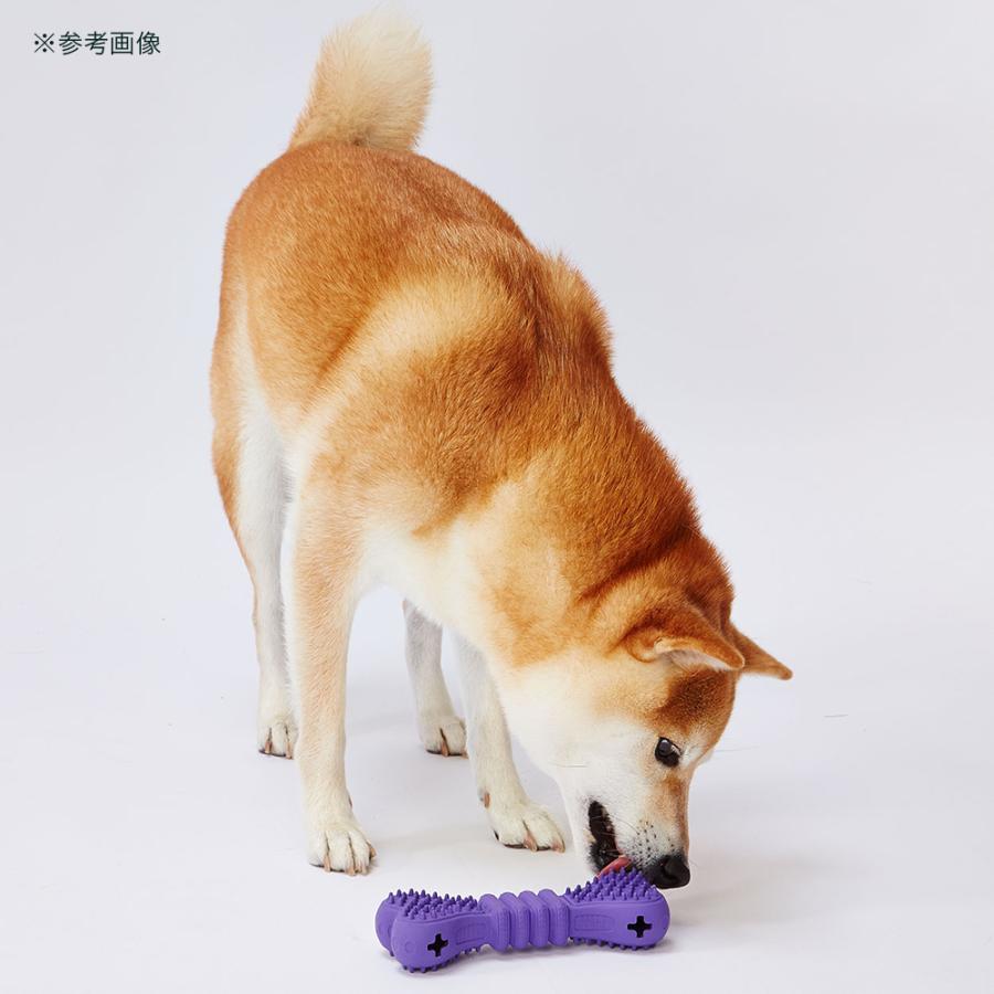 アウトレット品　ペティオ　犬用おもちゃ　ＴＲＥＡＴＳ　ＬＯＶＥＲ　ボーン　Ｍ　訳あり | Petio | 03