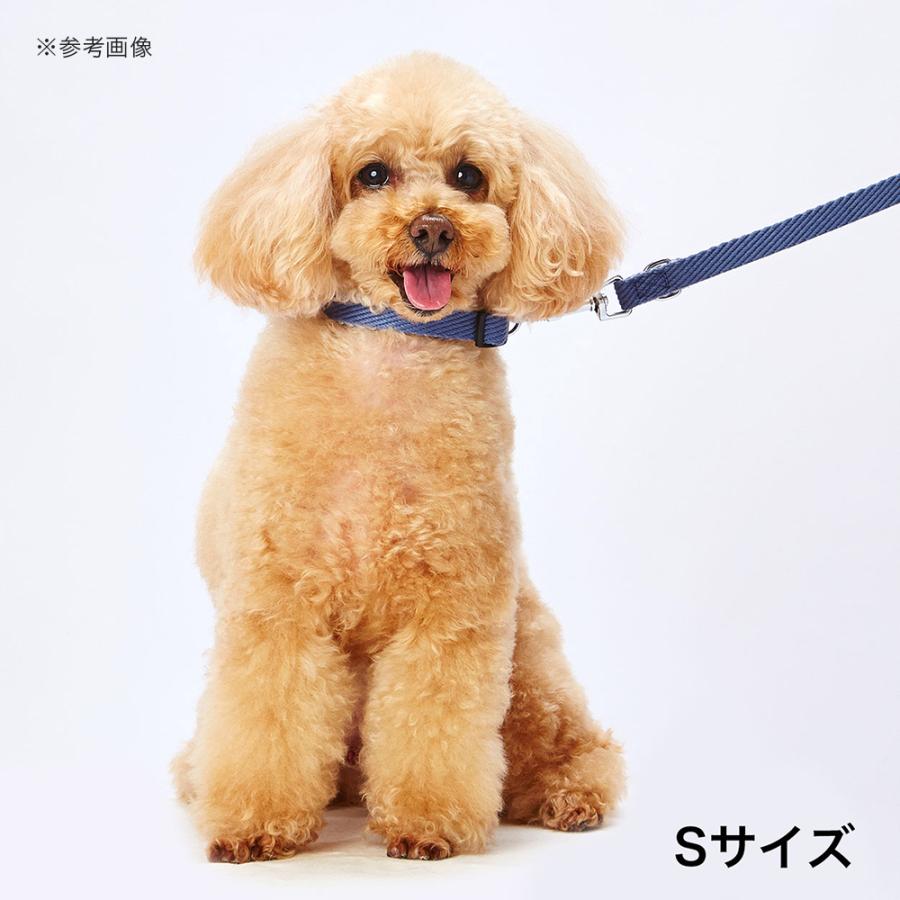 犬用首輪　ソフトスキップカラーＳＳ　ブルー｜chanet｜02