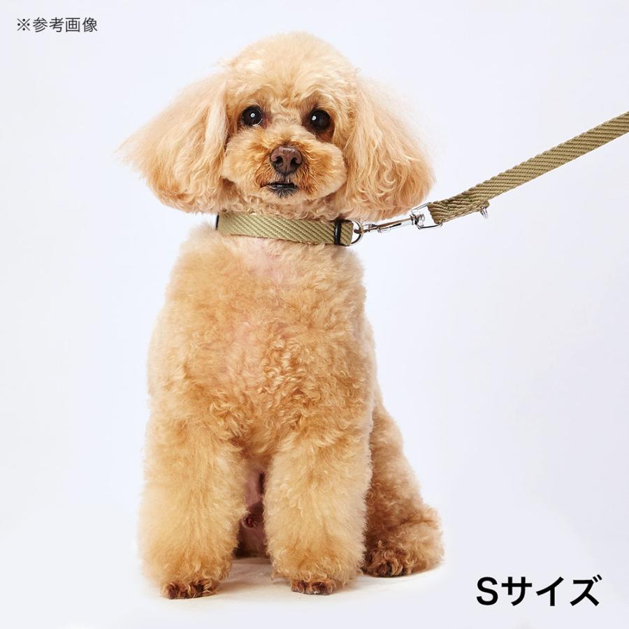 犬用首輪　ソフトスキップカラーＳＳ　グリーン｜chanet｜02