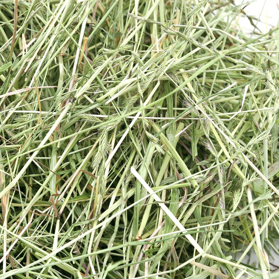 ２０２１年度産 新刈 国産 青刈りイタリアンライグラス ３００ｇ チャック袋 うさぎ 牧草 チャーム Charm Paypayモール店 通販 Paypayモール