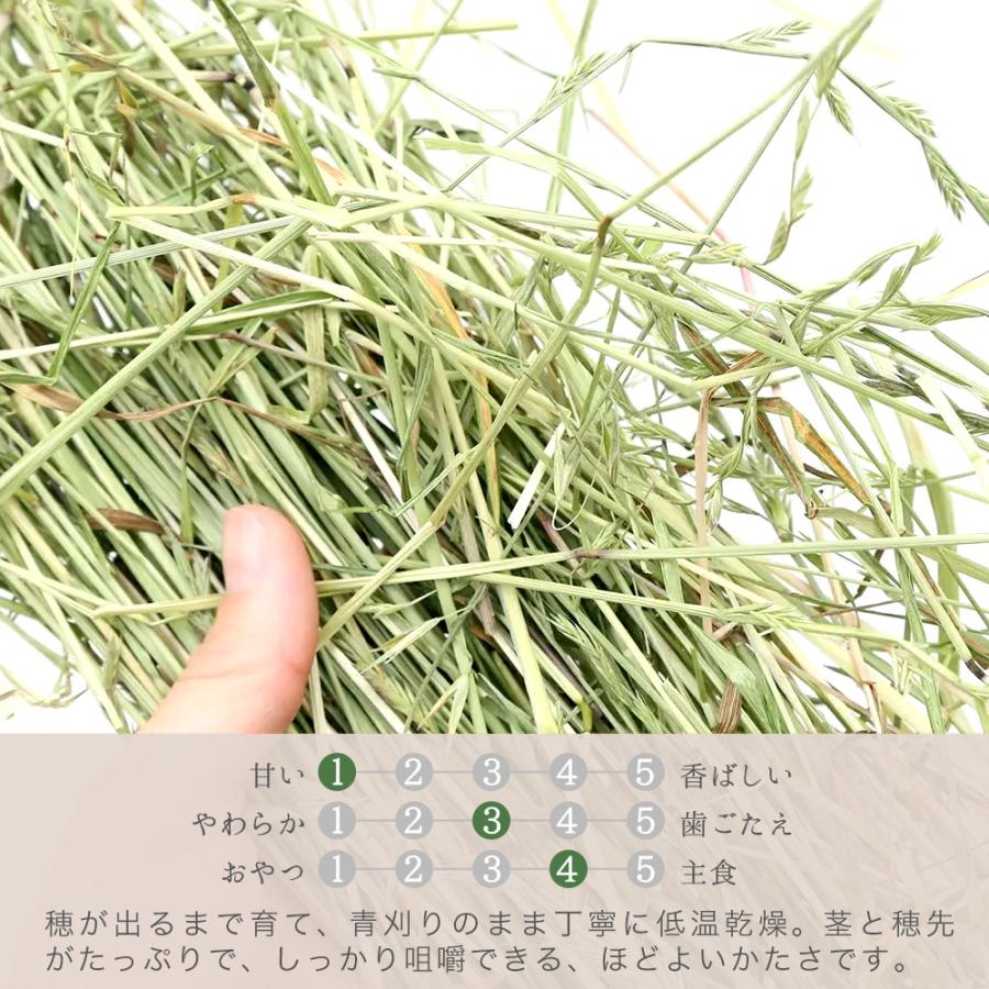 乾燥イタリアンライグラス２キロ 乾燥イタリアンライグラス2キロ 乾燥イタリアンライグラス2キロ 早期