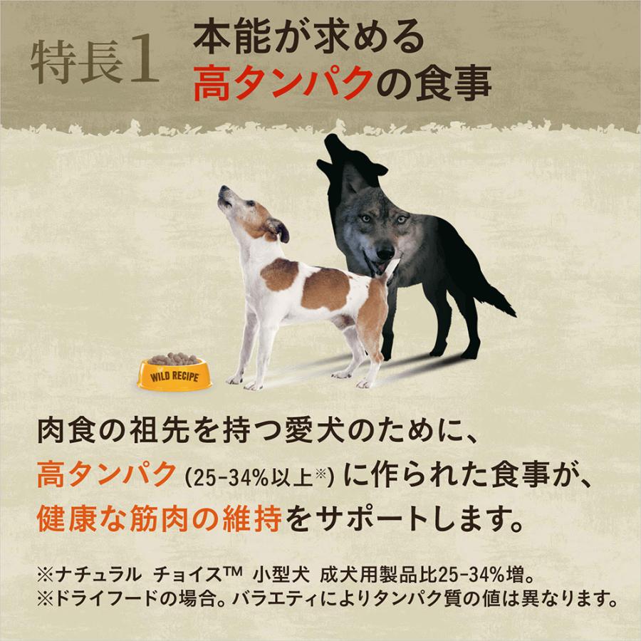 ニュートロ　ワイルド　レシピ　超小型犬〜小型犬用　成犬用　サーモン　４ｋｇ＋パウチ　１袋　おまけ付｜chanet｜02