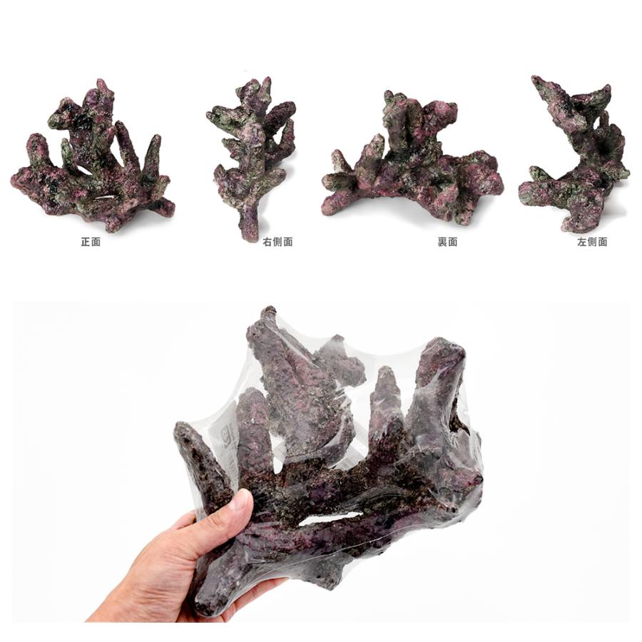 ATS ミニ ライブロックレプリカ E45 : チャーム charm ヤフー店