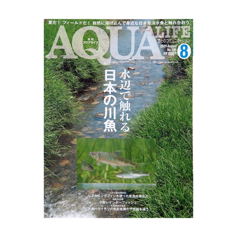 アクアライフ ８月号 正規逆輸入品 ２０２１