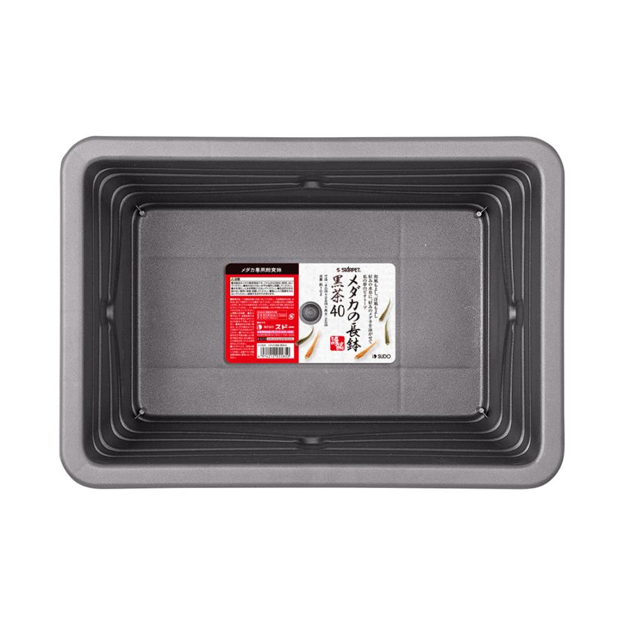 アウトレット品　スドー　メダカの長鉢　黒茶４０　お一人様３点限り　訳あり | スドー | 02