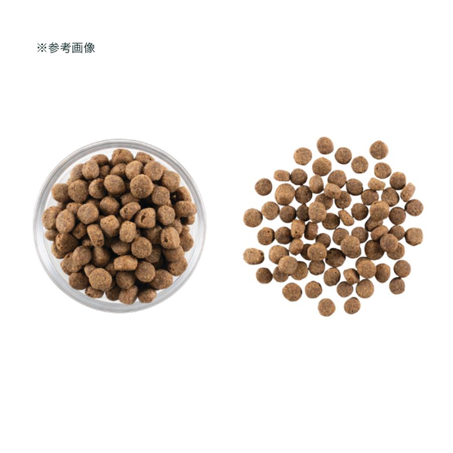 ドッグフード　ＮＯＷ　ＦＲＥＳＨ　ナウ　フレッシュ　シニア＆ウェイトマネジメント　５．４４ｋｇ | NOW FRESH | 02