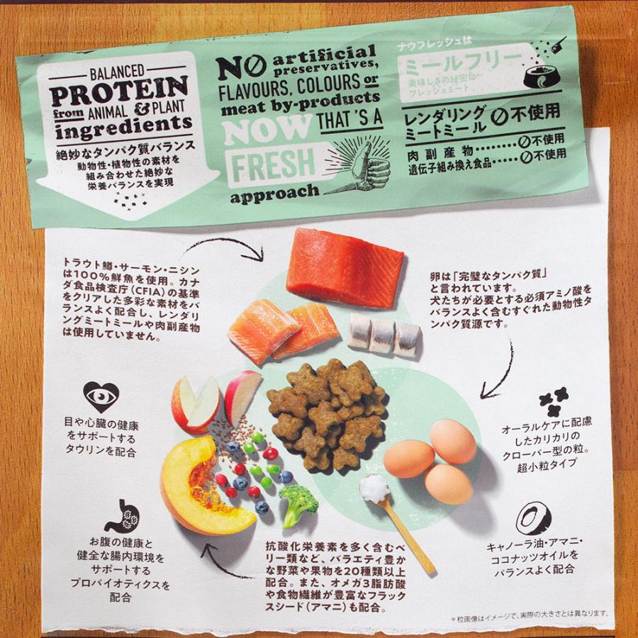 ドッグフード　ＮＯＷ　ＦＲＥＳＨ　Ｇｒａｉｎ　Ｆｒｅｅ　スモールブリード　フィッシュアダルト　８００ｇ | NOW FRESH | 01