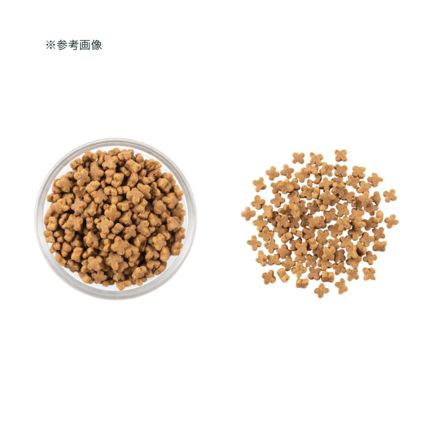 ドッグフード　ＮＯＷ　ＦＲＥＳＨ　Ｇｒａｉｎ　Ｆｒｅｅ　スモールブリード　フィッシュアダルト　８００ｇ | NOW FRESH | 02
