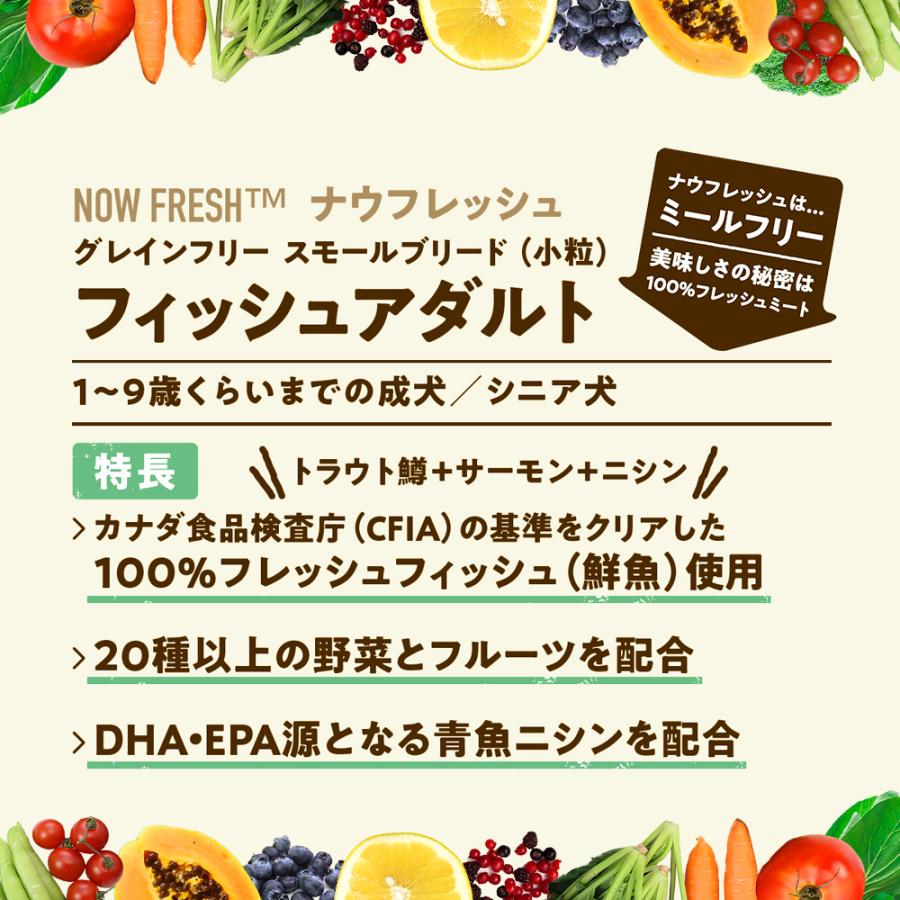 ドッグフード　ＮＯＷ　ＦＲＥＳＨ　Ｇｒａｉｎ　Ｆｒｅｅ　スモールブリード　フィッシュアダルト　８００ｇ | NOW FRESH | 04