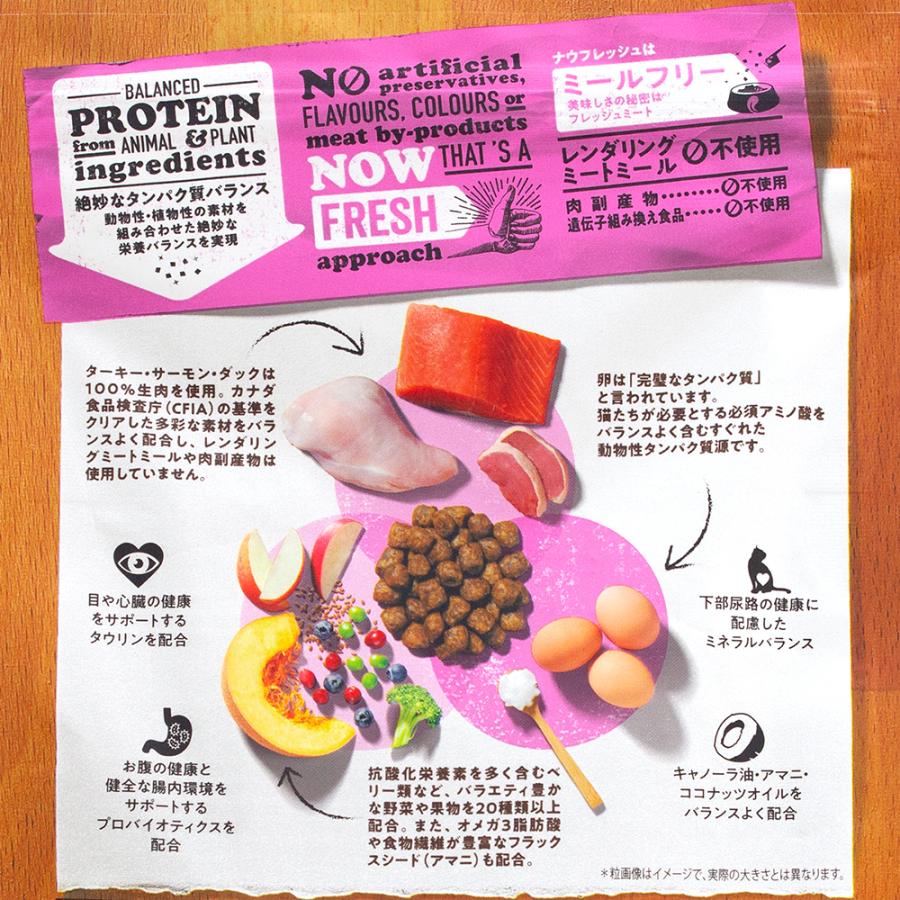 キャットフード　ＮＯＷ　ＦＲＥＳＨ　Ｇｒａｉｎ　Ｆｒｅｅ　アダルトキャット　３５０ｇ｜chanet｜02