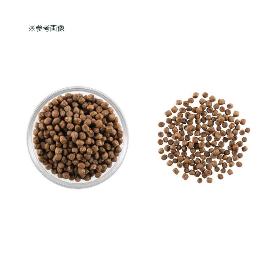 キャットフード　ＮＯＷ　ＦＲＥＳＨ　Ｇｒａｉｎ　Ｆｒｅｅ　アダルトキャット　１．３６ｋｇ | NOW FRESH | 02