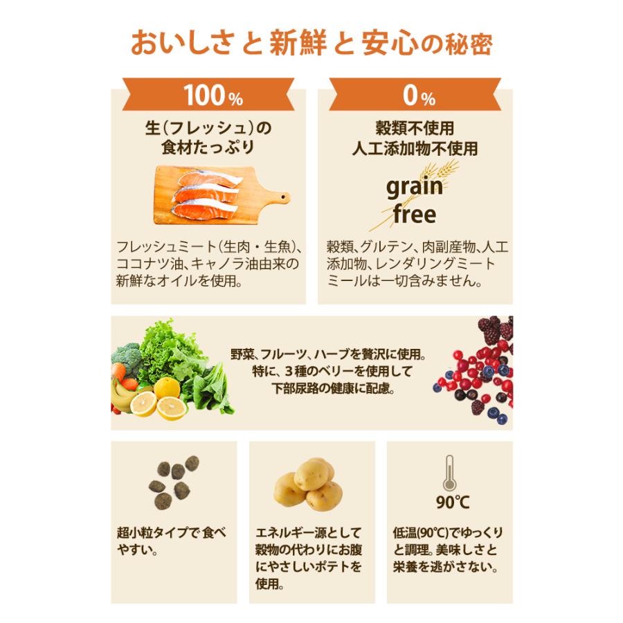 キャットフード　ＮＯＷ　ＦＲＥＳＨ　Ｇｒａｉｎ　Ｆｒｅｅ　アダルトキャット　１．３６ｋｇ | NOW FRESH | 03
