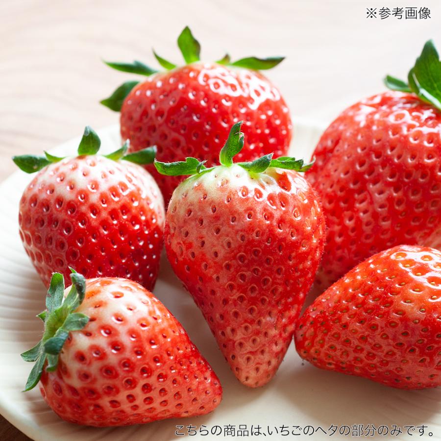 国産　いちごのヘタ　３０ｇ　小動物用のおやつ　ハムスター　モモンガ　無添加　無着色 | Leaf Corp | 03
