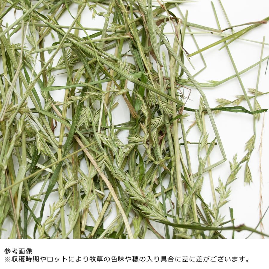 令和５年産　国産　旬のやわらかイタリアンライグラス　セミハード　２００ｇ×３袋　牧草　無農薬　うさぎ　小動物｜chanet｜06