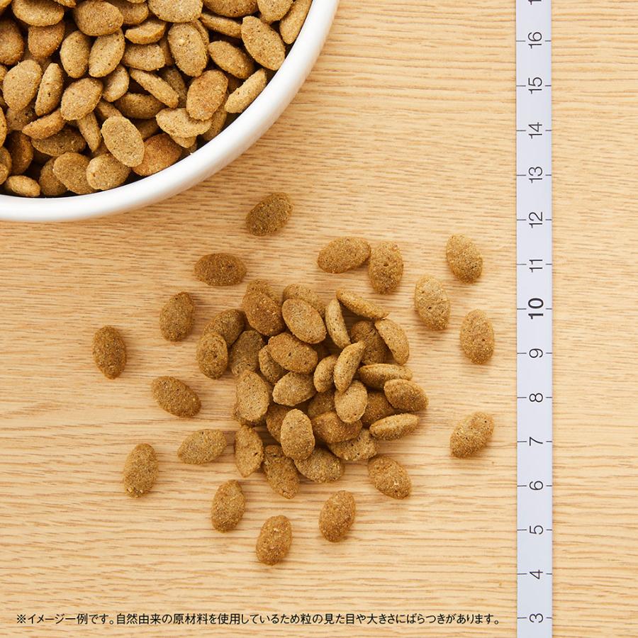 ニュートロ　シュプレモ　超小型犬〜小型犬用　体重管理用　６ｋｇ×２袋　お一人様１点限り | シュプレモ | 04