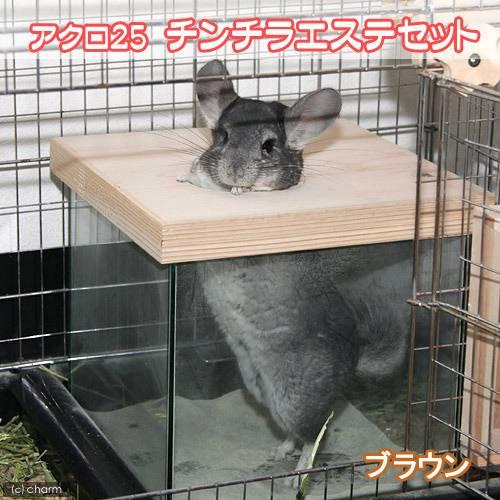 チャーム（ペット） アクロ25キューブ チンチラエステセット