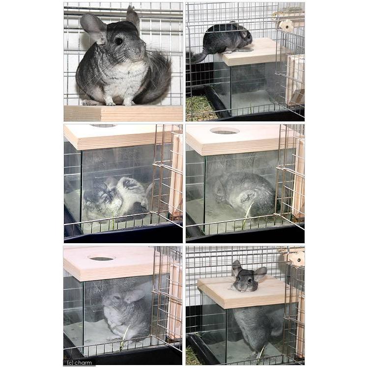 チャーム（charm） アクロ25キューブ チンチラエステセット ブラウン