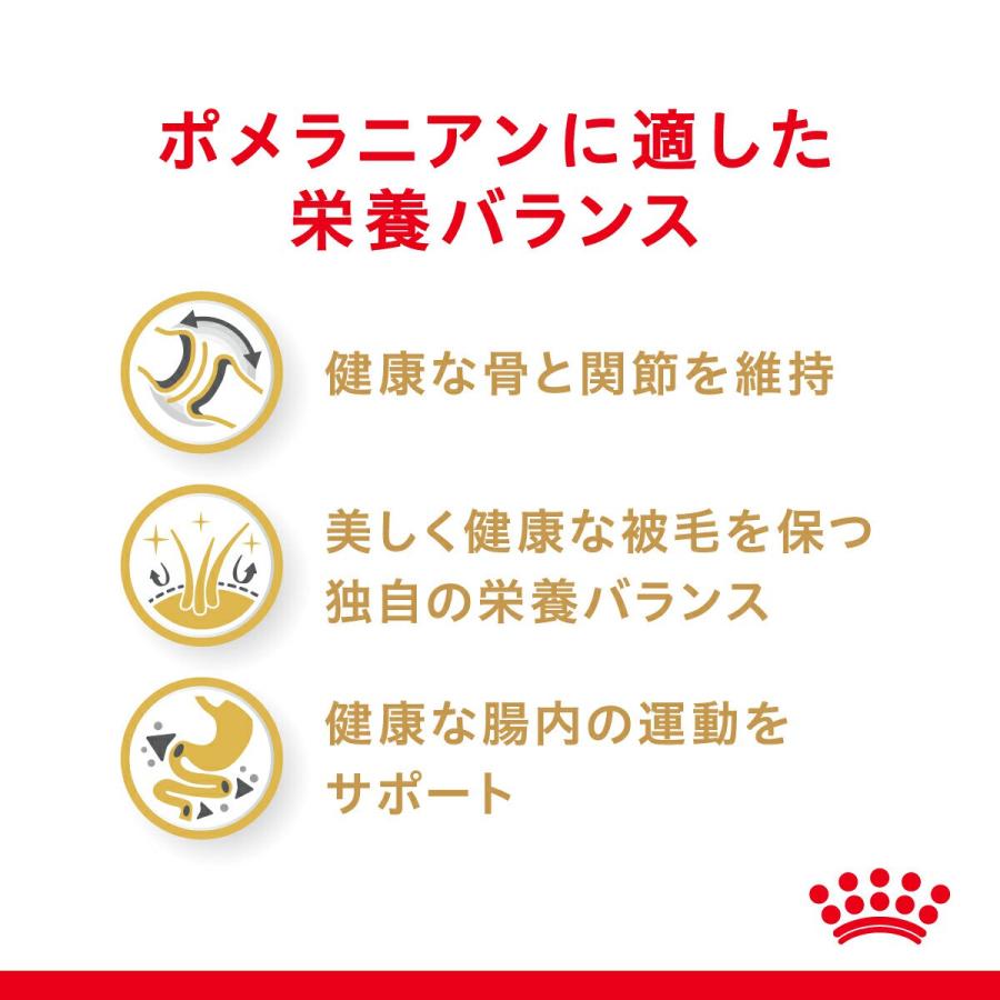ロイヤルカナン　ポメラニアン　成犬〜高齢犬用　生後８ヵ月齢以上　１．５ｋｇ　ジップ付（ドッグフード　ドライ）　お一人様５点限り | ロイヤルカナン | 04