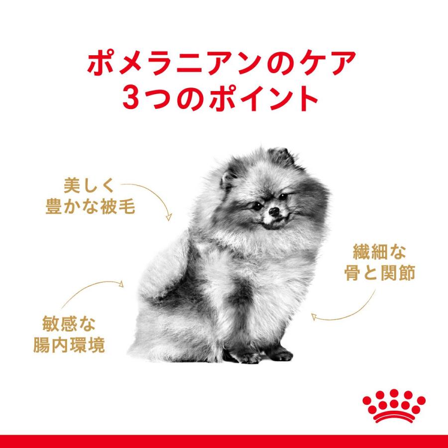 ロイヤルカナン　ポメラニアン　成犬〜高齢犬用　生後８ヵ月齢以上　１．５ｋｇ×２袋　ジップ付　ドッグフード　ドライ　お一人様３点限り | ロイヤルカナン | 02