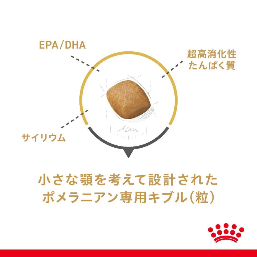 ロイヤルカナン　ポメラニアン　成犬〜高齢犬用　生後８ヵ月齢以上　１．５ｋｇ×２袋　ジップ付　ドッグフード　ドライ　お一人様３点限り | ロイヤルカナン | 05