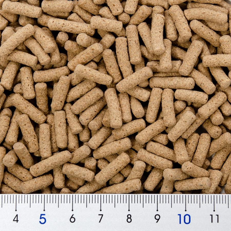 レオパドライ　ペレットタイプ　500g×3袋セット キョーリン レオパドライ 500g 昆虫食爬虫類の栄養食 | 熱帯魚・水槽