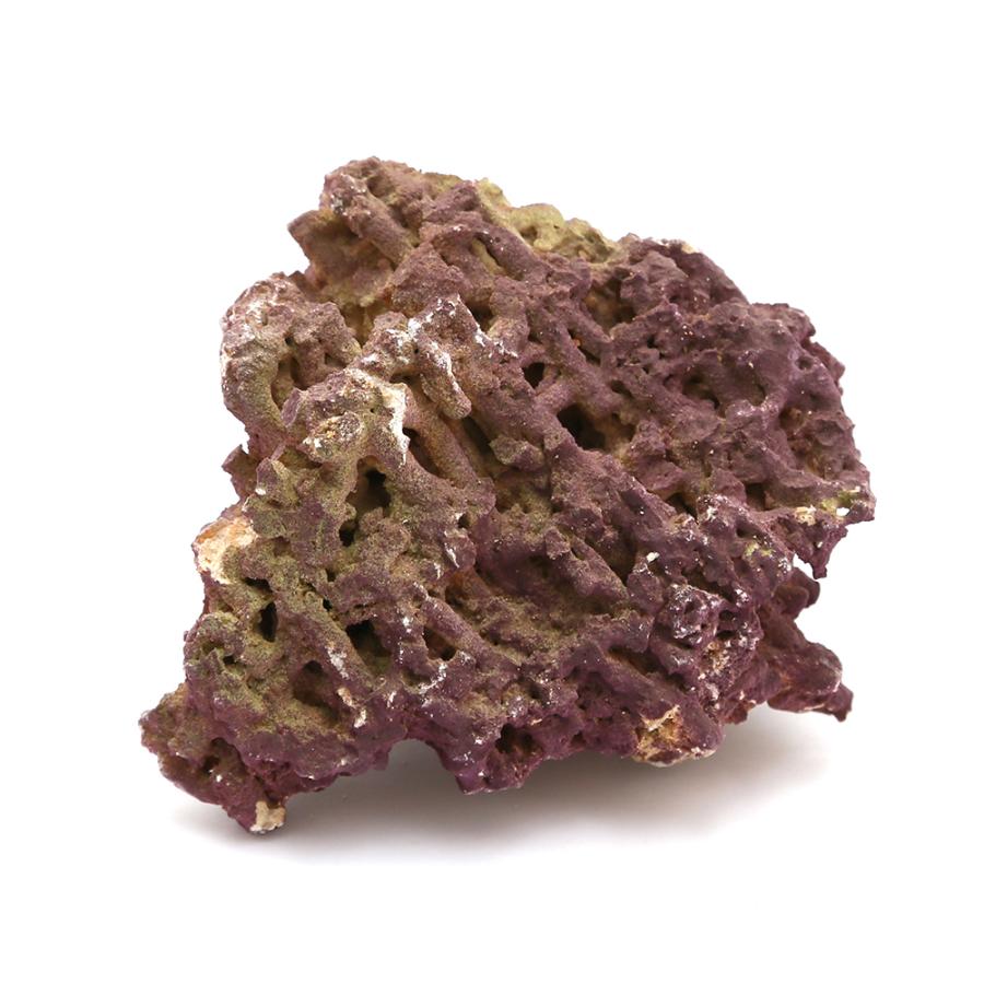 ジュラシックリーフロック ライブロック ｓ ７００ｇ １個 形状おまかせ 楽天