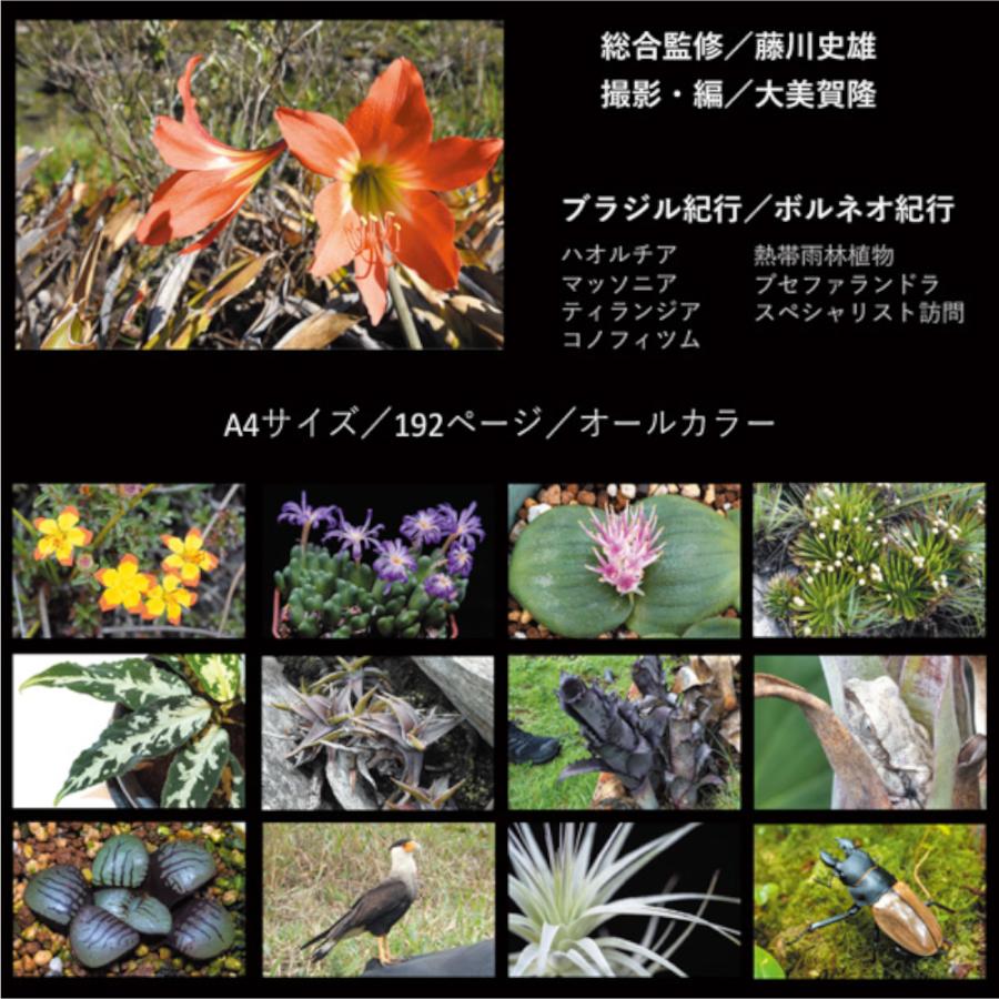 植物写真集　ＷｏｒｌｄＰｌａｎｔｓＲｅｐｏｒｔ　書籍　熱帯｜chanet｜02