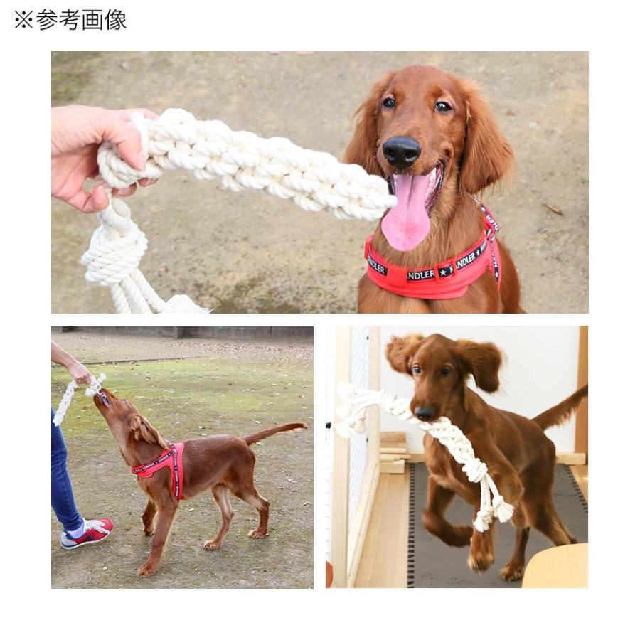 Leaf Corp あみあみつなひきコットンロープ L 大型犬用 おもちゃ