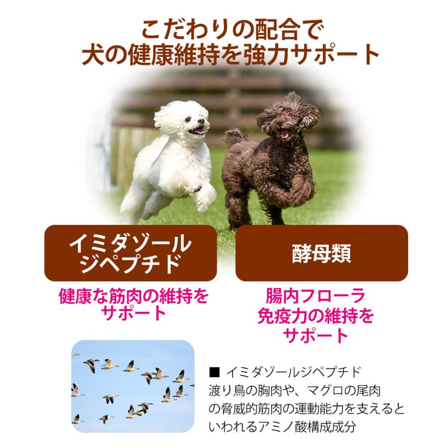 ドッグヴォイス　シニア　６５　ローストチキン＆サーモン＆鹿肉　４００ｇ　セミモイスト　半生　小粒　食べむら | VOICE（ペット用品） | 04