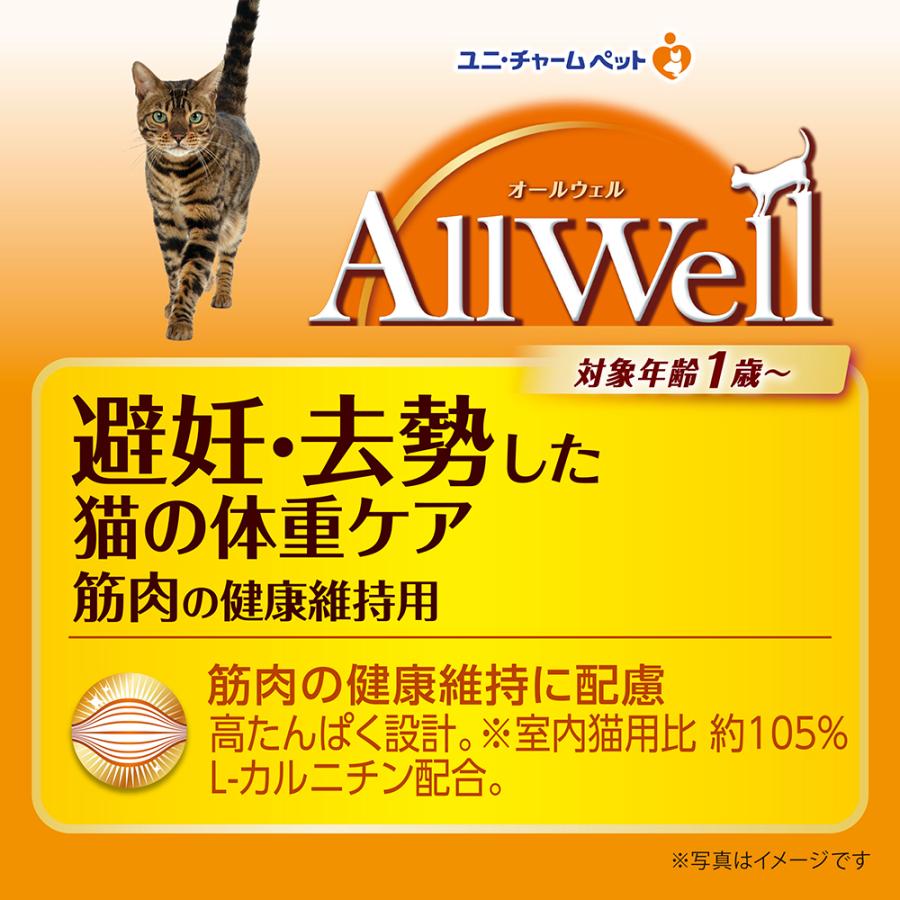 キャットフード　オールウェル　避妊・去勢した猫の体重ケア　筋肉の健康維持用　チキン味　挽き小魚とささみフリーズドライパウダー入り　７５０ｇ｜chanet｜02