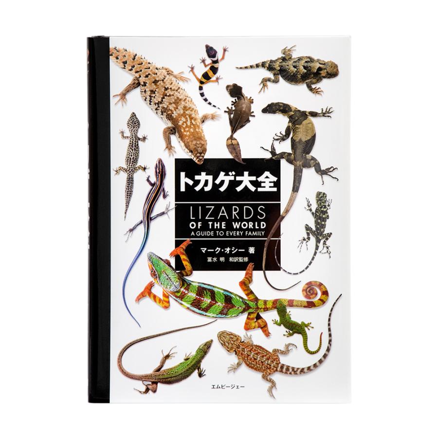 トカゲ大全 LIZARDS OF THE WORLD : チャーム charm